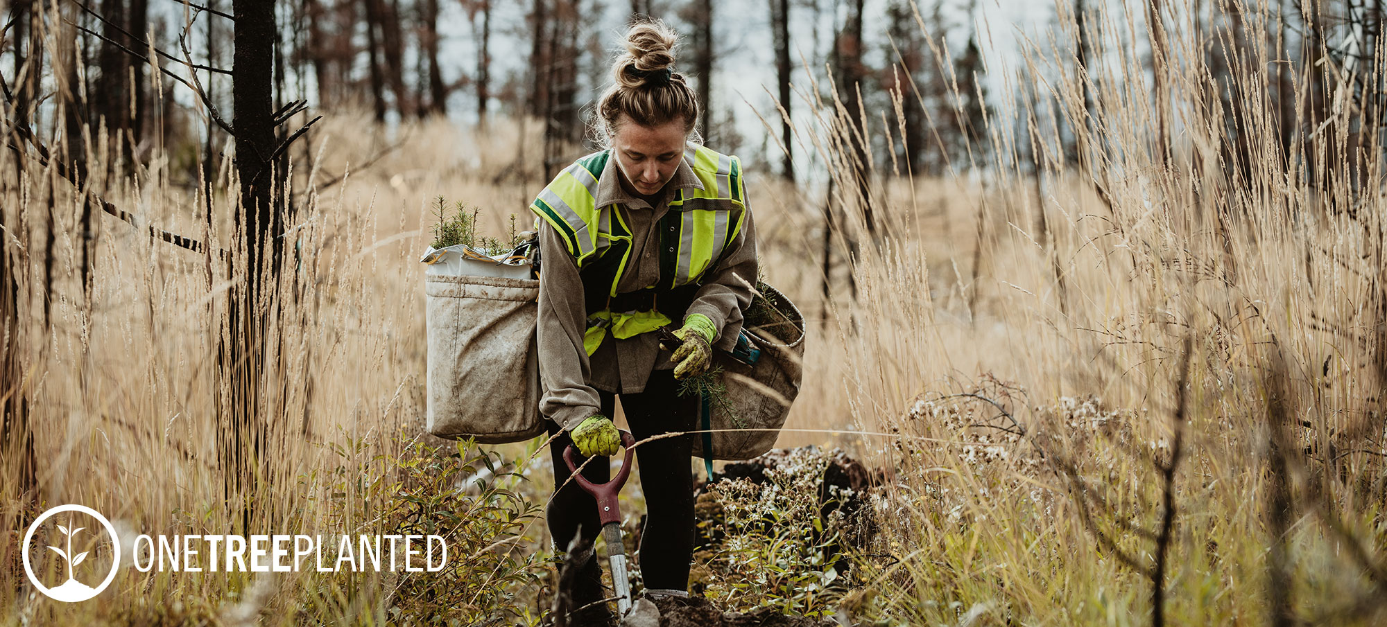 Medicred planting trees sustainability